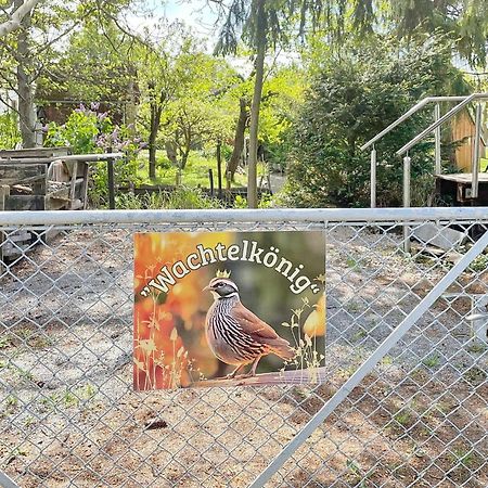 Wachtelkoenig Villa Lübbenau Dış mekan fotoğraf